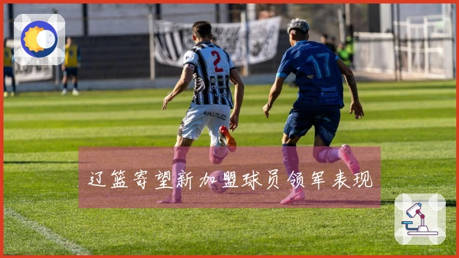 辽篮寄望新加盟球员领军表现