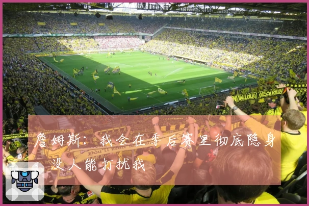 詹姆斯：我会在季后赛里彻底隐身，没人能打扰我