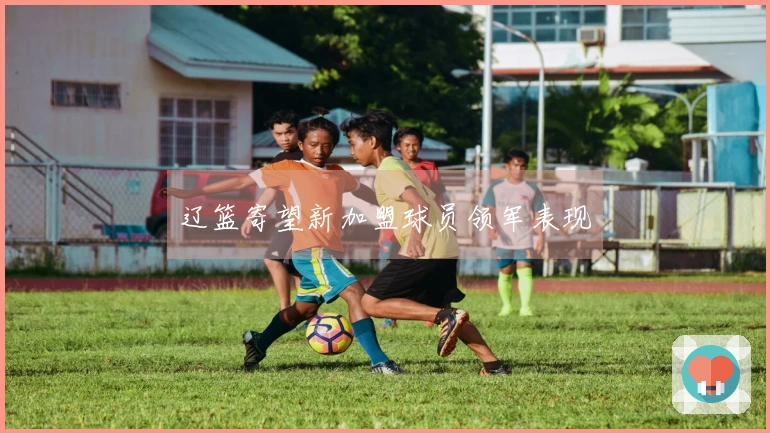 辽篮寄望新加盟球员领军表现